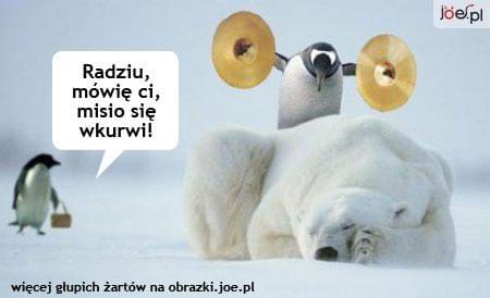 Obrazek