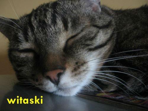 Obrazek