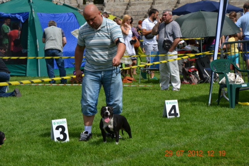 darmowy hosting obrazków