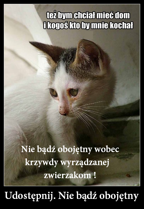Obrazek