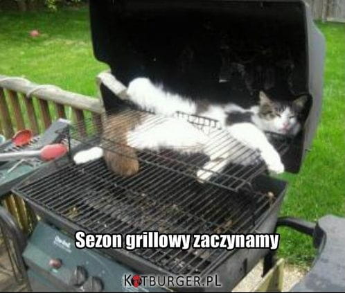 Obrazek