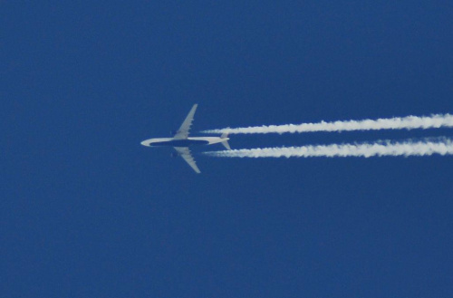 darmowy hosting obrazków