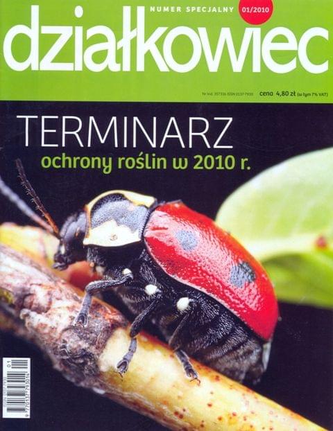 Obrazek