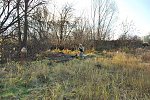 http://images40.fotosik.pl/30/65380a414c45c84bm.jpg