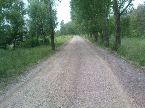 05651deaff45eee2med.jpg