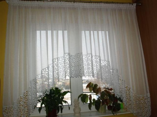 0516dd71ea999916gen.jpg