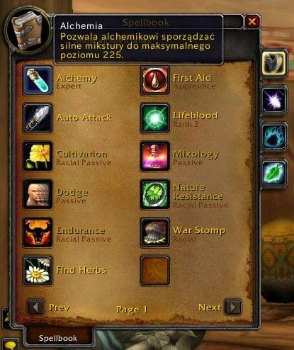 dodatek addon do gry world of warcraft wyświetlający opisy do spelli 