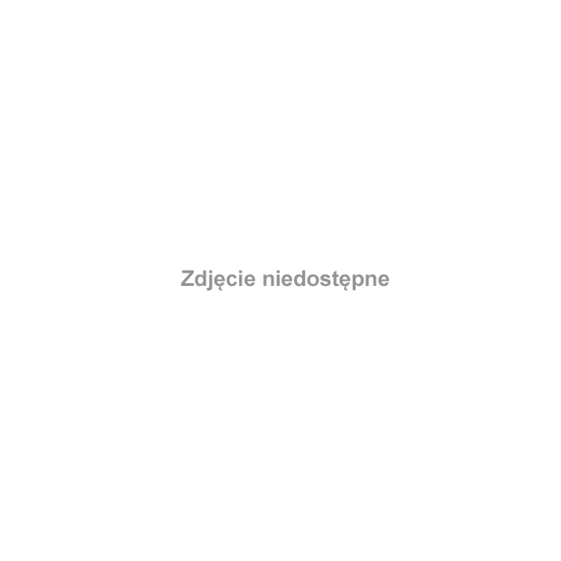 Wiatraki w Osiecznej - poza tym, że są świadectwem rozwoju przemysłowego regionu, były świadkami bitwy polskich oddziałów powstańczych z niemieckimi podczas Powstania Wielkopolskiego w 1919 roku.