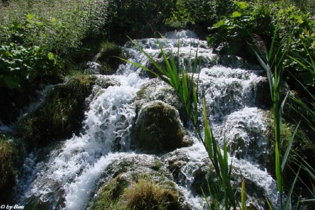 PLITVICE #PARKI #WODOSPADY #JEZIORA #CHORWACJA