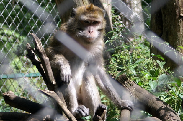 zaprosiłem 3 dzieci i mamę-ciocię do ZOO ale była sjesta zwierzęca i mało było szalonych zwierząt widać :) #ZOO