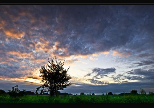 Zdjęcie wykonane w okolicach miasta Brwinów. Przedstawia piękny wschód słońca. #drzewko #drzewo #wschód #pole #łąka #lato #zachód #niebo
