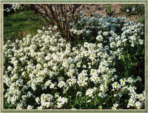 Biały dywanik z drobnych kwiatkow