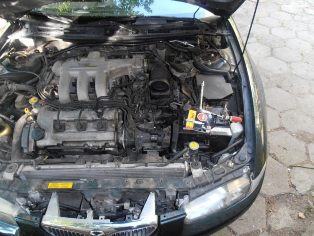 xedos v6 cinek121