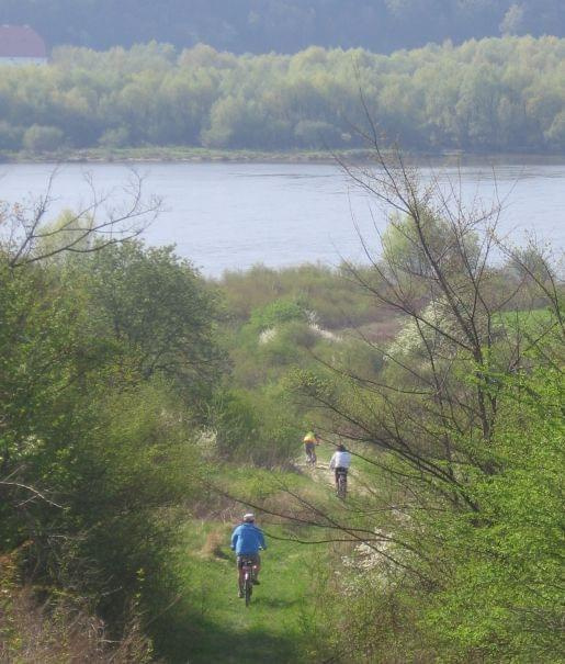 Kazimierski Park Krajobrazowy