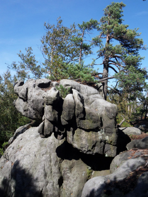 Piknik pod wiszącą skałą ? :) #GóryStołowe #skały #Szczeliniec