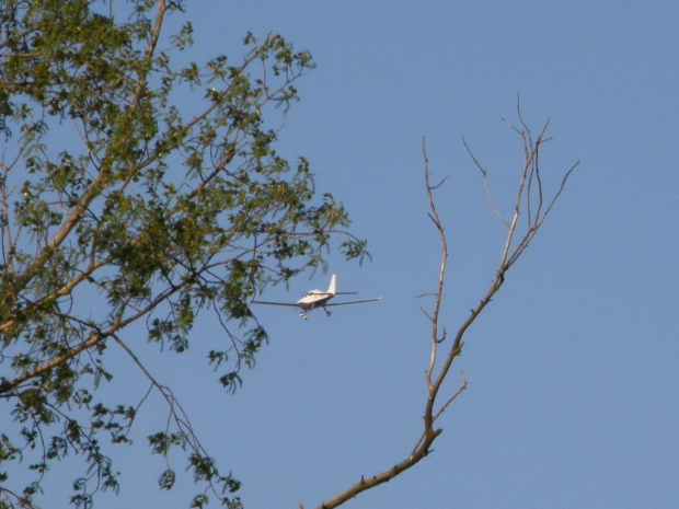 Samolot sp-NWR #samolot #samolocik #lata #latający #WLocie #pzk
