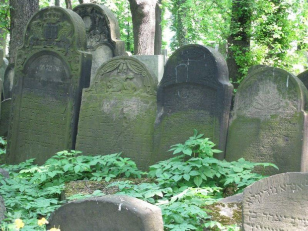 Kraków cmentarz żydowski Nowy ul. Miodowa