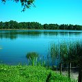 Jezioro Borzechowskie Wielkie #Pejzaż