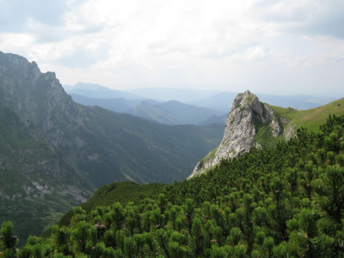 malownicze polskie Tatry #góry #Tatry #Polska #natura