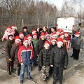 Koty do adopcji #adopcja #adopcje #Gliwice #kocięta #kot #kotki #koty #pomoc #przygarnę #schronisko #zaadoptuję #zwierzęta