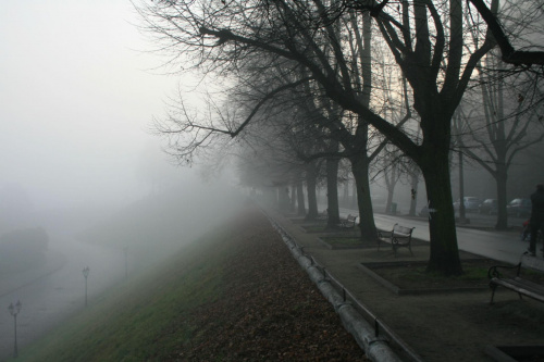 an avenue #architektura #mgła #Szczecin