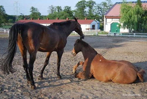 2009.05.21 Trening w Stodołach