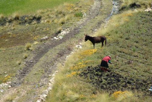 Altiplano