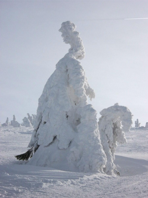Królowa Śniegu na swym rumaku :)) #Karkonosze #zima #śnieg #szadź