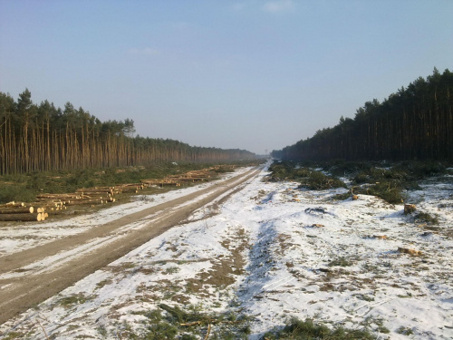 Wycinka pod S8, widok z brzegu Grabi w kierunku węzła Róża