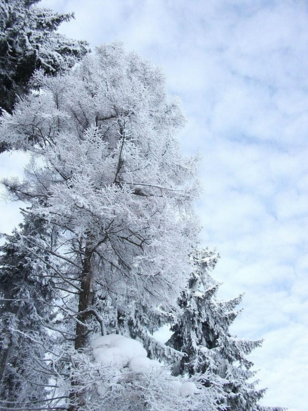 Miłego i pięknego weekendu.Mnóstwa słońca i uśmiechu,pięknych zdjęć i ciepła :)) #zima #śnieg #szadź #GóryIzerskie