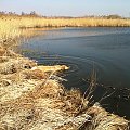 sezon pływacki rozpoczęty