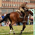 IX Piknik Kawaleryjski w Suwałkach #kawaleria #PiknikKawaleryjski #Suwałki #konie