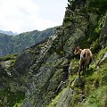 Tatry