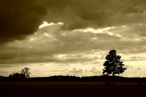 widoczek ;D #widok #niebo #krajobraz #drzewo