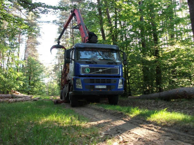 transport drewna