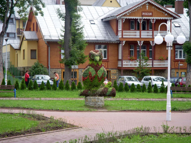 Krynica