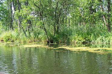 Urlop Pokośno 2012 #urlop