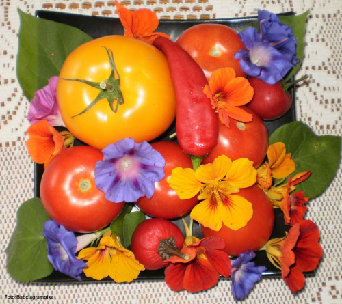 Witaminki #witaminki #pomidory #papryka #przekaski #jedzenie #gotowanie #kulinaria #PrzepisyKulinarne