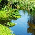 #woda #rzeka #zieleń #lato