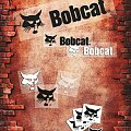 #Bobcat