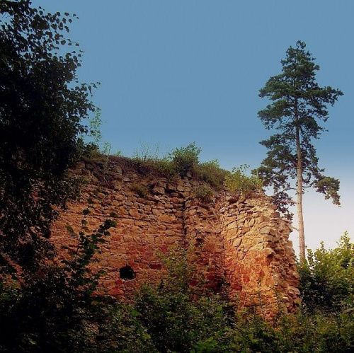 Rożnów-ruiny zamku z XI wieku Zawiszy Czarnego