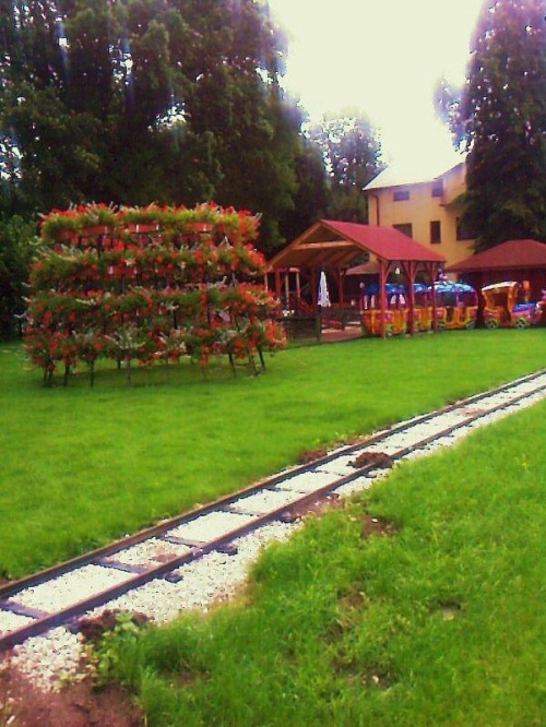 Kołacinek