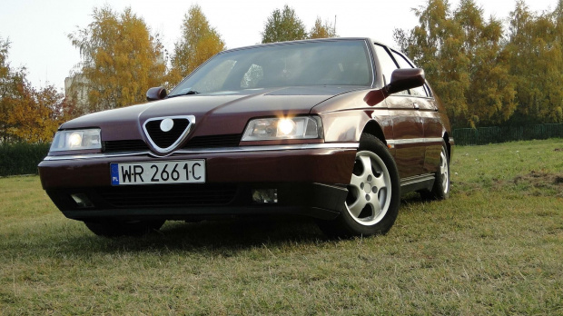 Moja Alfa 164