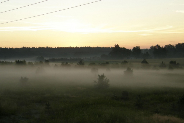 #mgła #las #WschódSłońca #sosna