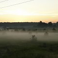 #mgła #las #WschódSłońca #sosna