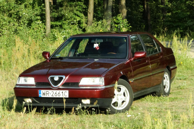 Moja Alfa 164