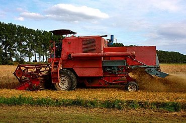 2009.08.18 Żniwa #maciekstelblog