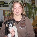 Kiedyś mieliśmy na przechowaniu kota. Dzisiaj przyszła pora na psa.
Na szczęście trafił w dobre ręce
