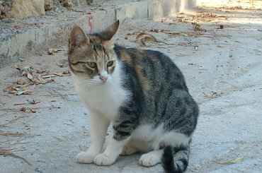 Kreta moja.. #kreta #grecja #santorini #wakacje