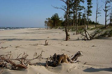 Są takie miejsca, gdzie czas się zatrzymał... #Wyspa #GórkiWschodnie #NadMorzem #sztorm #plaża #sosny #widok